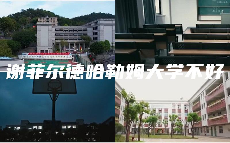 谢菲尔德哈勒姆大学不好