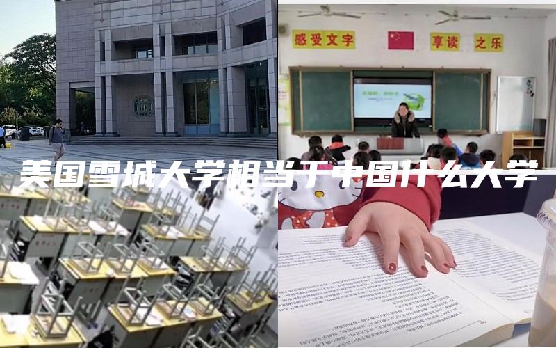 美国雪城大学相当于中国什么大学