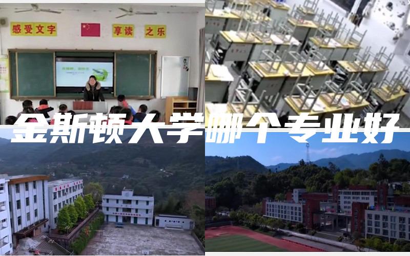 金斯顿大学哪个专业好