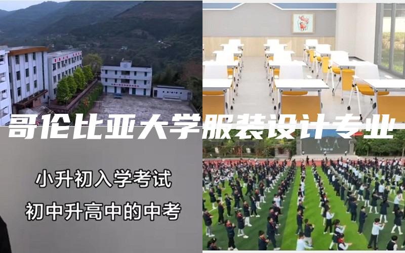 哥伦比亚大学服装设计专业