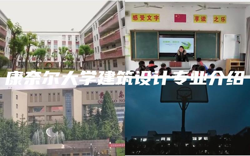 康奈尔大学建筑设计专业介绍