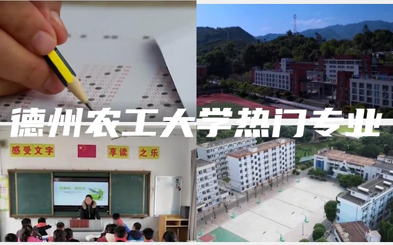 德州农工大学热门专业