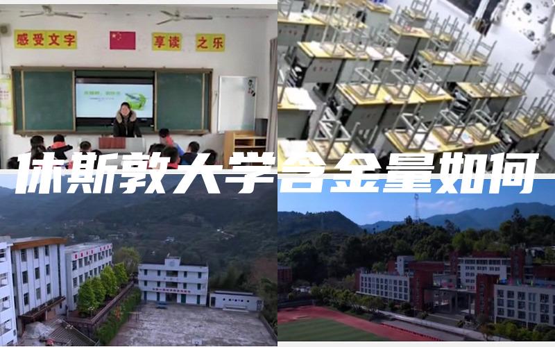 休斯敦大学含金量如何