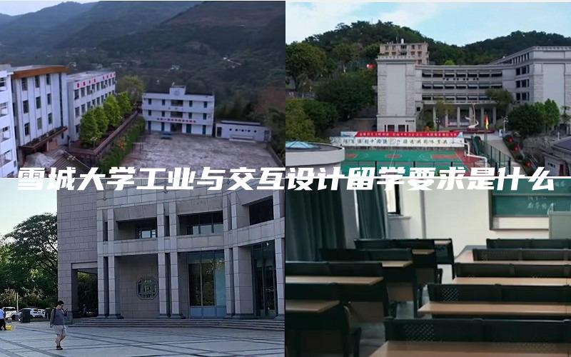 雪城大学工业与交互设计留学要求是什么