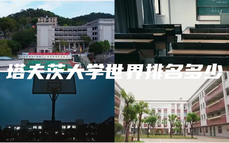 塔夫茨大学世界排名多少