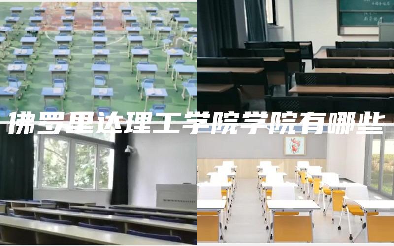 佛罗里达理工学院学院有哪些