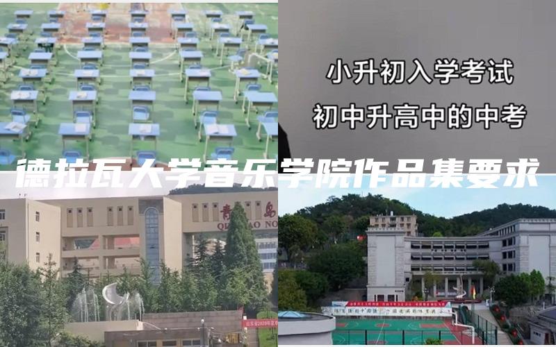 德拉瓦大学音乐学院作品集要求