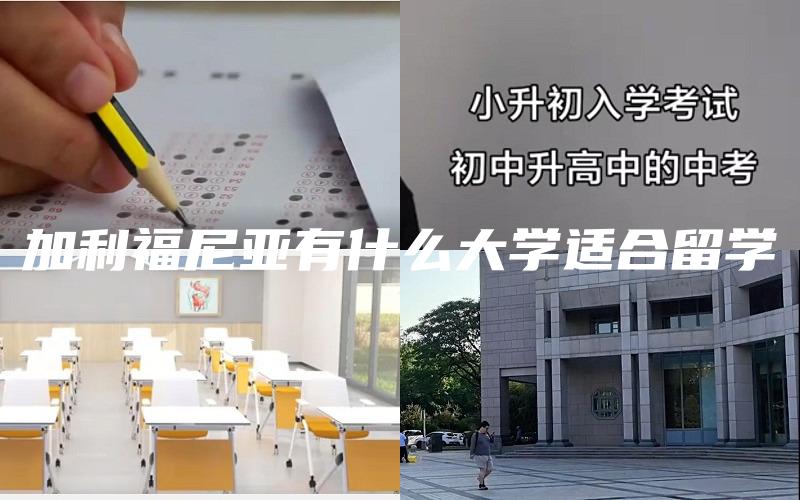 加利福尼亚有什么大学适合留学