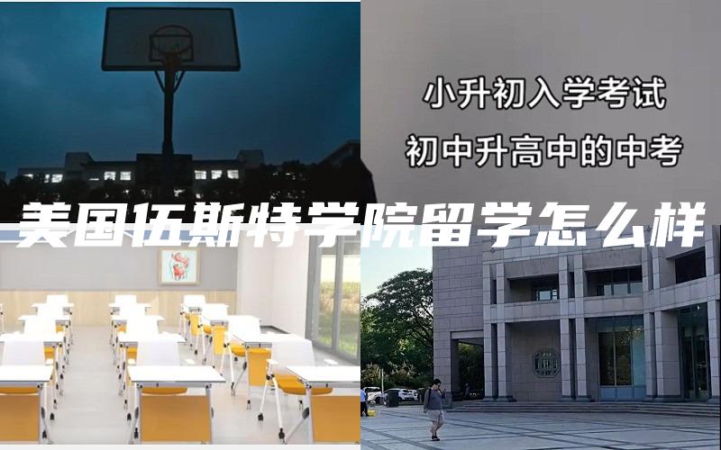 美国伍斯特学院留学怎么样