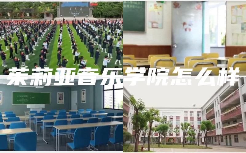 茱莉亚音乐学院怎么样