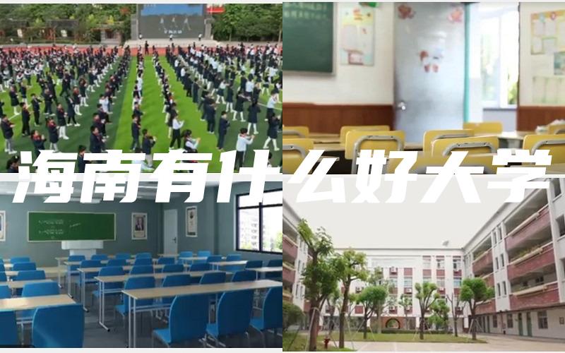 海南有什么好大学