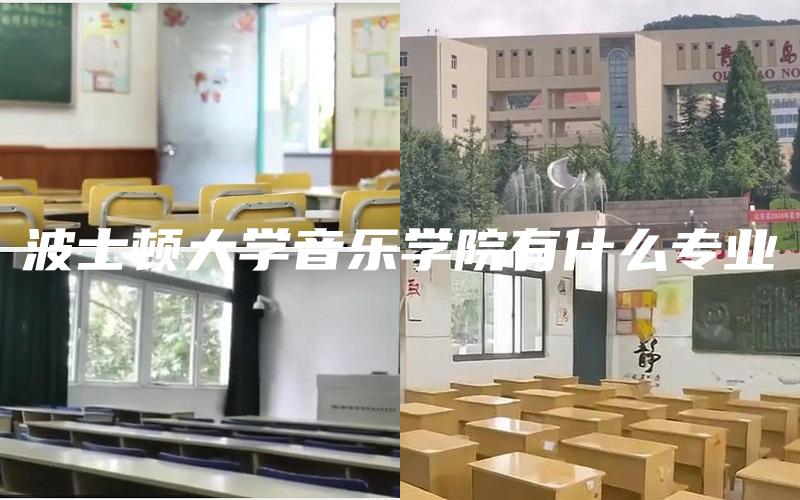 波士顿大学音乐学院有什么专业