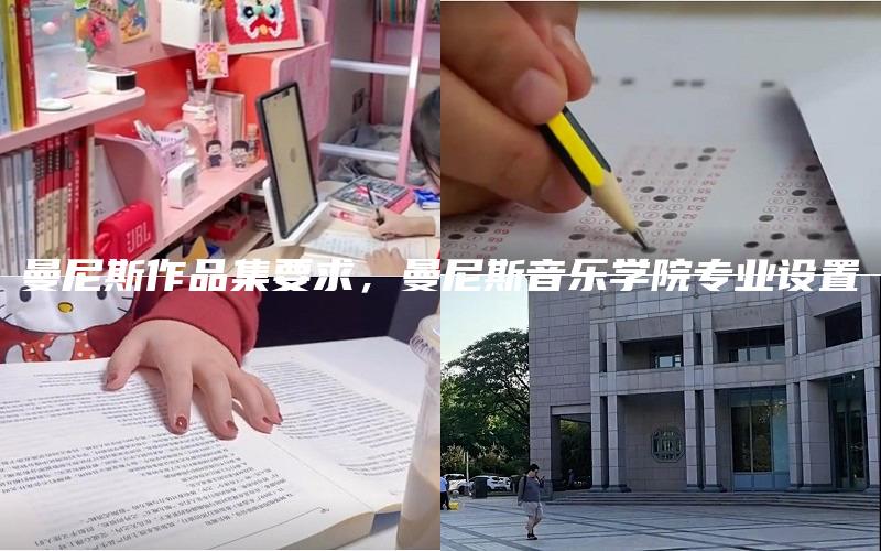 曼尼斯作品集要求，曼尼斯音乐学院专业设置