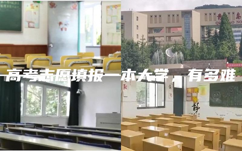 高考志愿填报一本大学，有多难