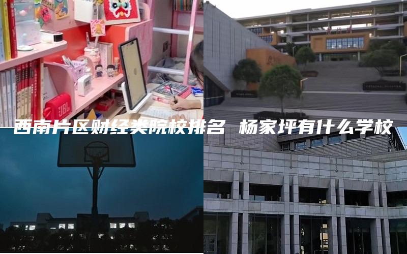 西南片区财经类院校排名 杨家坪有什么学校