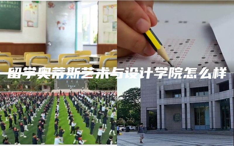 留学奥蒂斯艺术与设计学院怎么样