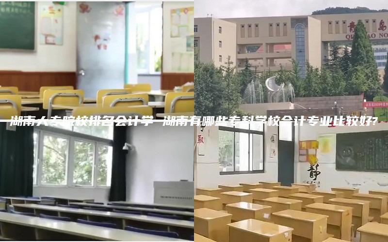 湖南大专院校排名会计学 湖南有哪些专科学校会计专业比较好?