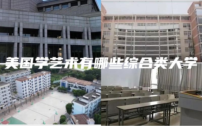 美国学艺术有哪些综合类大学