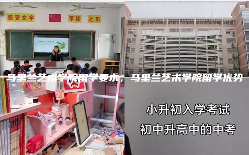 马里兰艺术学院留学要求，马里兰艺术学院留学优势