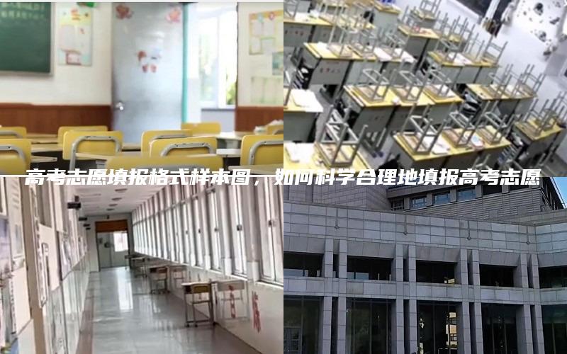 高考志愿填报格式样本图，如何科学合理地填报高考志愿