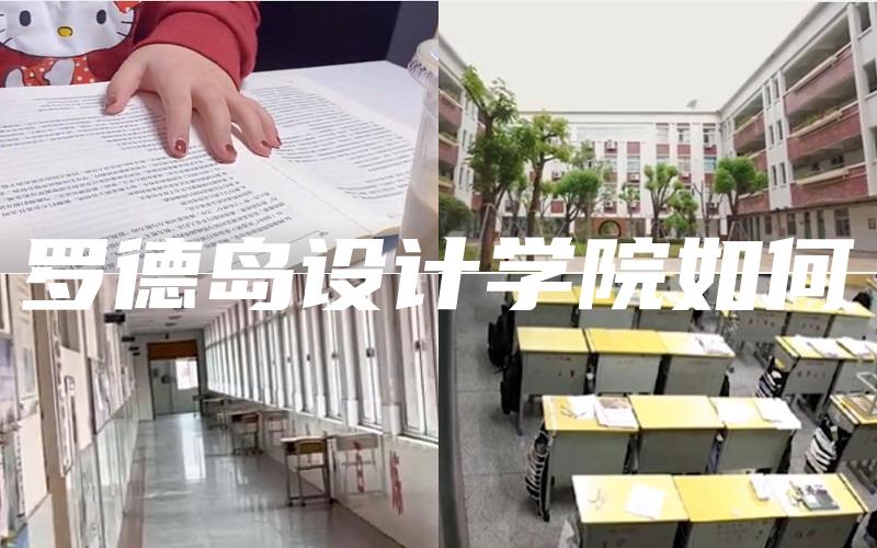 罗德岛设计学院如何