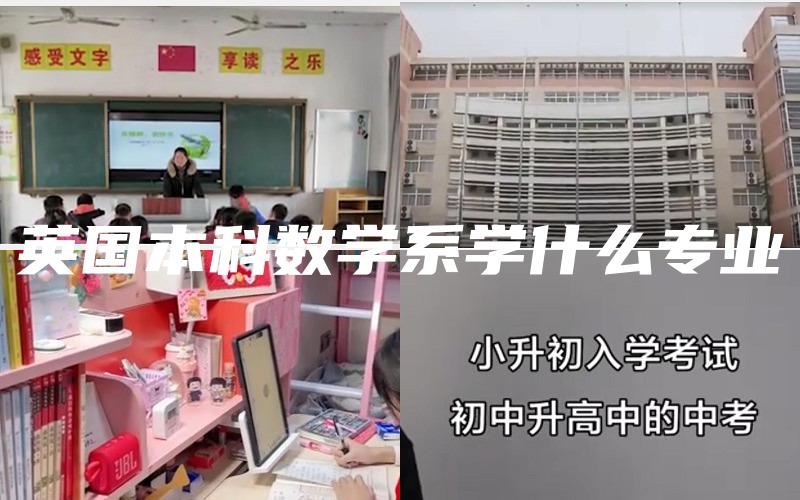 英国本科数学系学什么专业