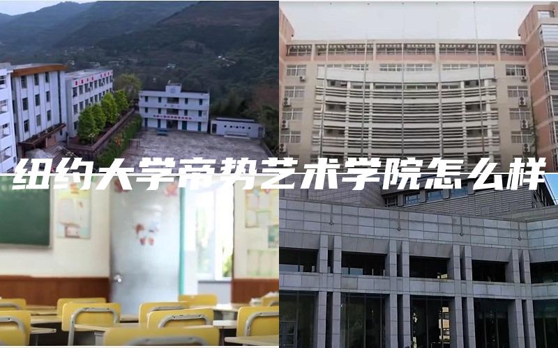 纽约大学帝势艺术学院怎么样