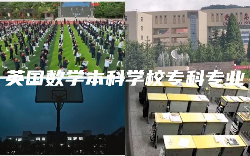 英国数学本科学校专科专业