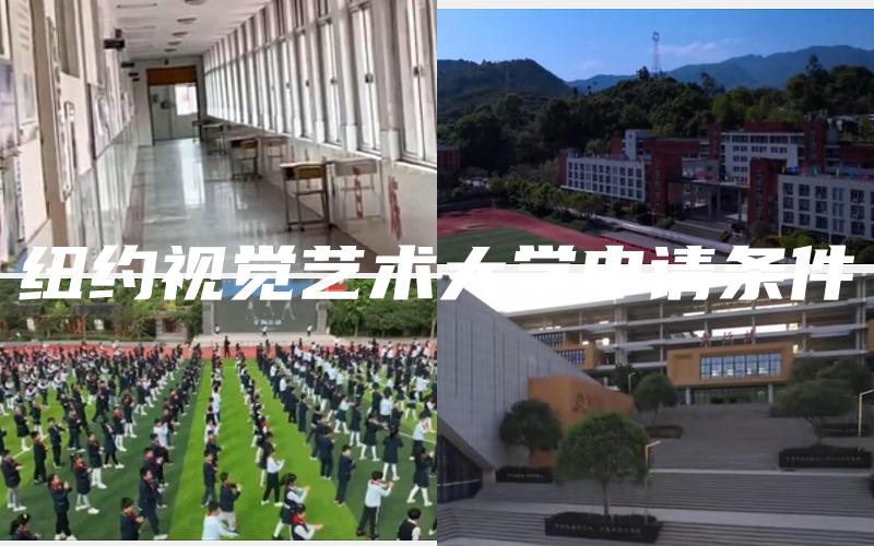 纽约视觉艺术大学申请条件