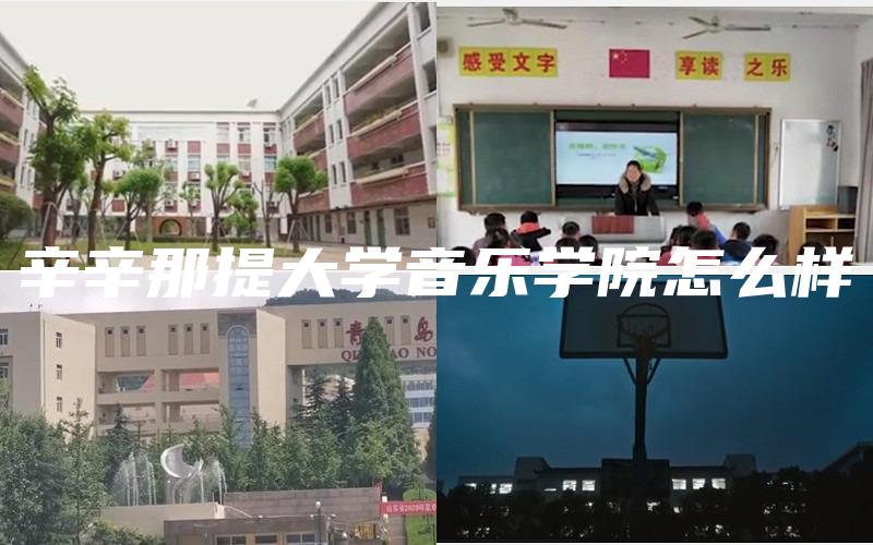 辛辛那提大学音乐学院怎么样