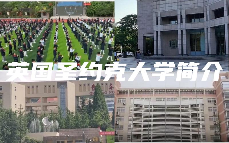 英国圣约克大学简介