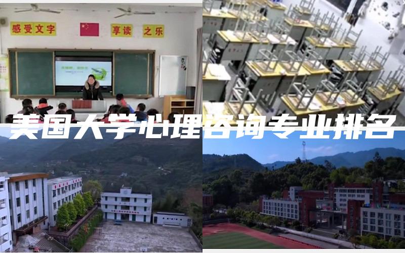 美国大学心理咨询专业排名