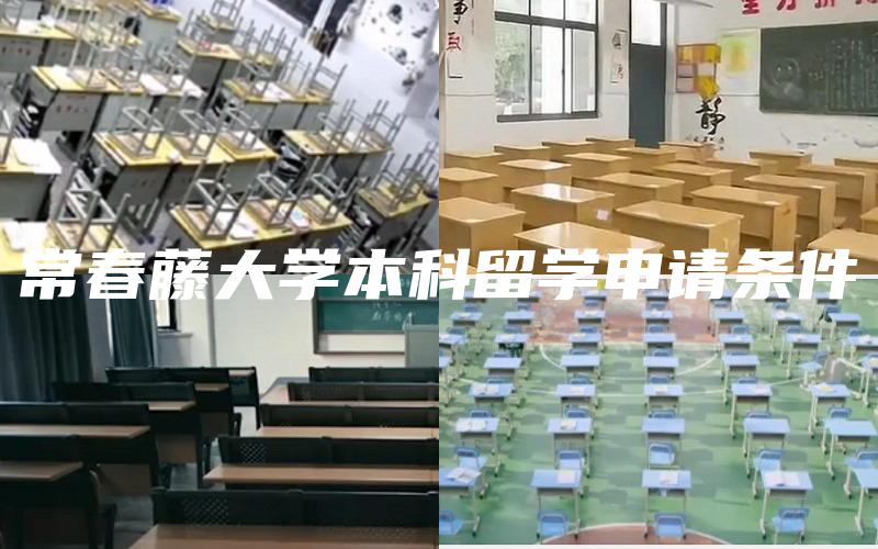 常春藤大学本科留学申请条件