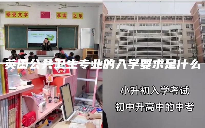 英国公共卫生专业的入学要求是什么