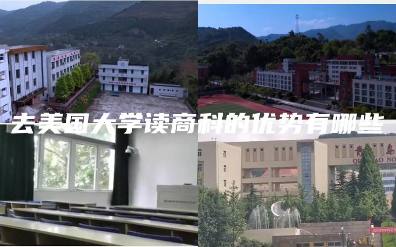 去美国大学读商科的优势有哪些