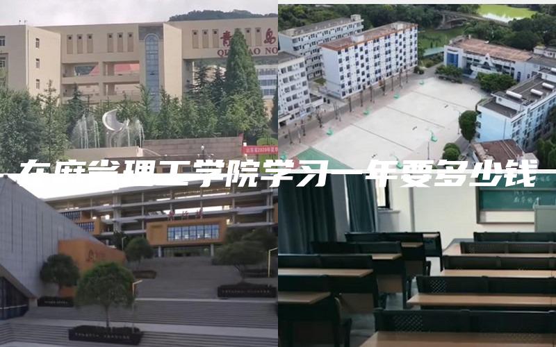 在麻省理工学院学习一年要多少钱