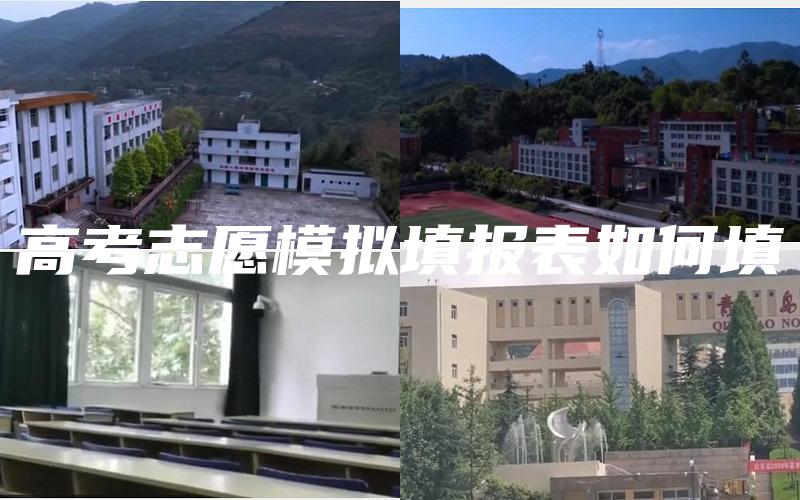 高考志愿模拟填报表如何填