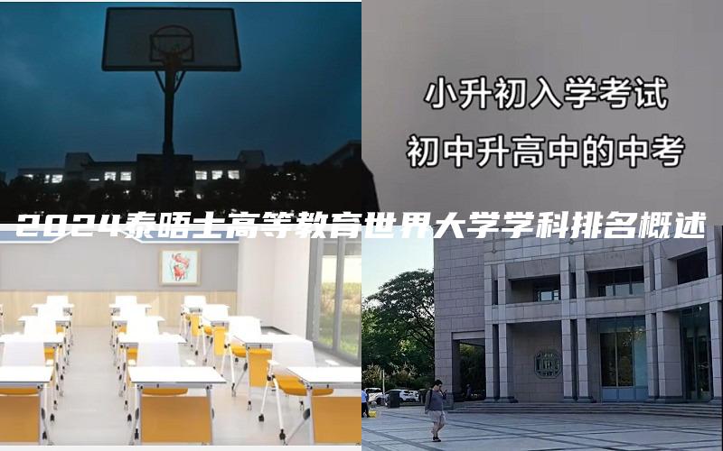 2024泰晤士高等教育世界大学学科排名概述