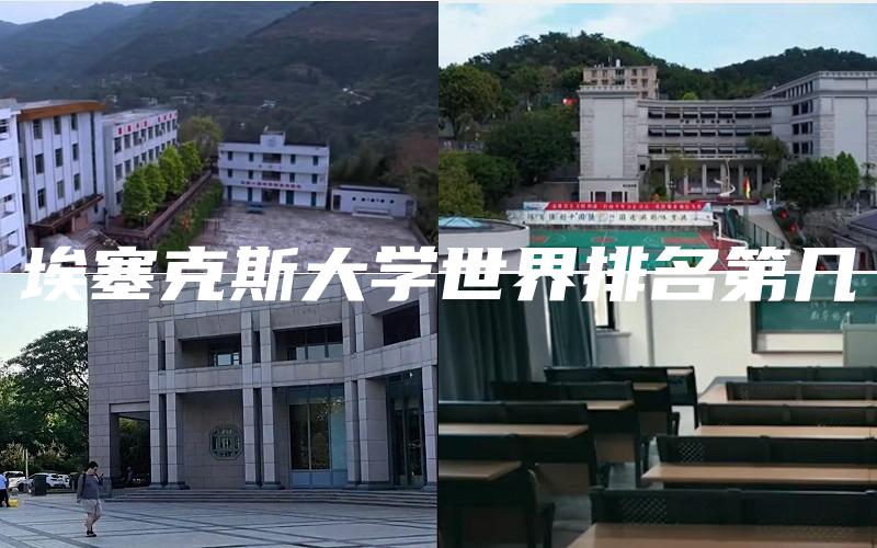 埃塞克斯大学世界排名第几