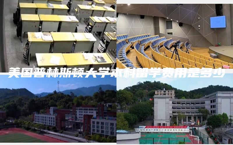 美国普林斯顿大学本科留学费用是多少