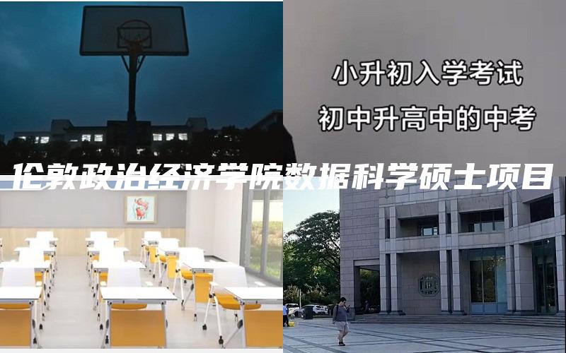 伦敦政治经济学院数据科学硕士项目