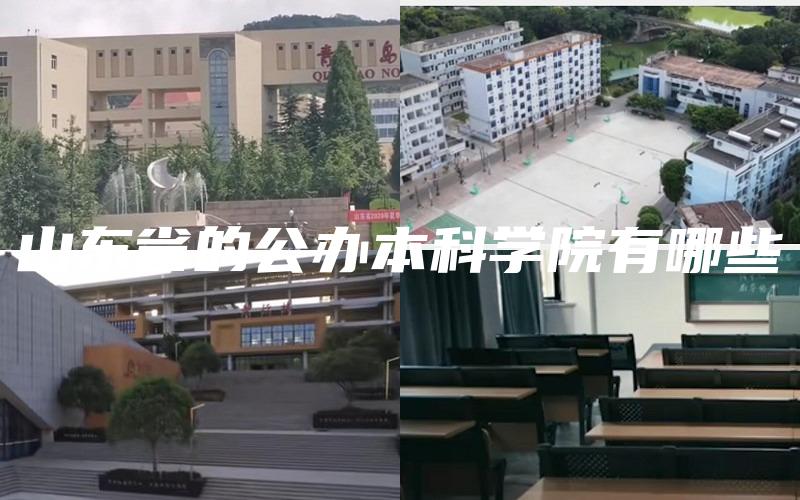 山东省的公办本科学院有哪些