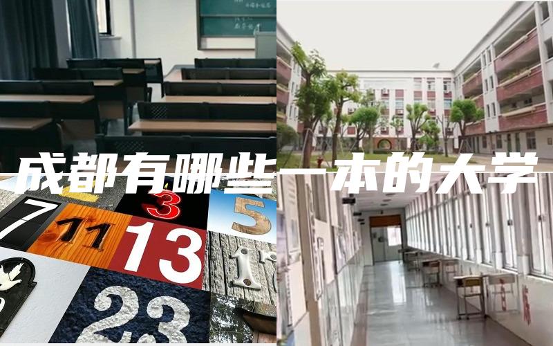 成都有哪些一本的大学